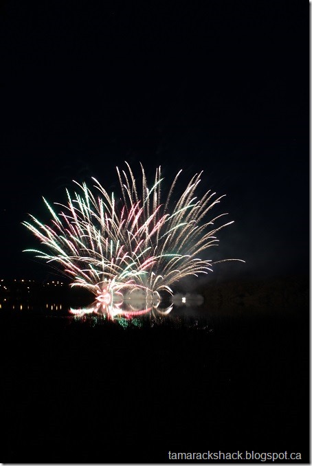 fireworks3a