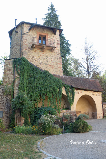 Prälatenturm, Gengenbach