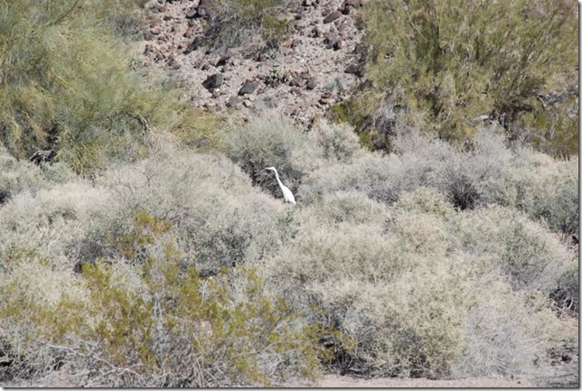 02-21-12 B Geocaching by Emerald Cove 061