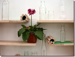 innovative product (22)