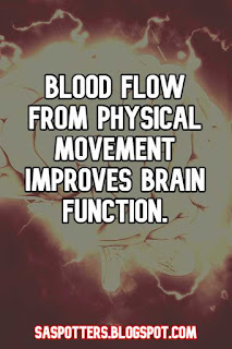 Blood flow from physical movement improves brain function.