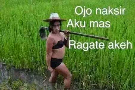 Gambar Komen Facebook Bahasa Jawa  LUCU DAN BERGERAK