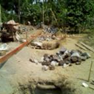 View album