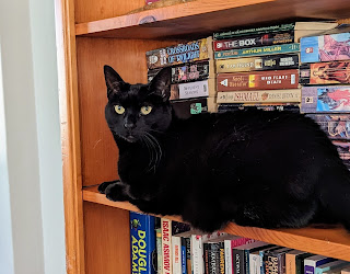 A black cat sits on a shelf on a wooden bookcase with various fictional titles stacked horizontally behind her.