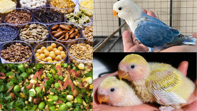 Nutrition and Health