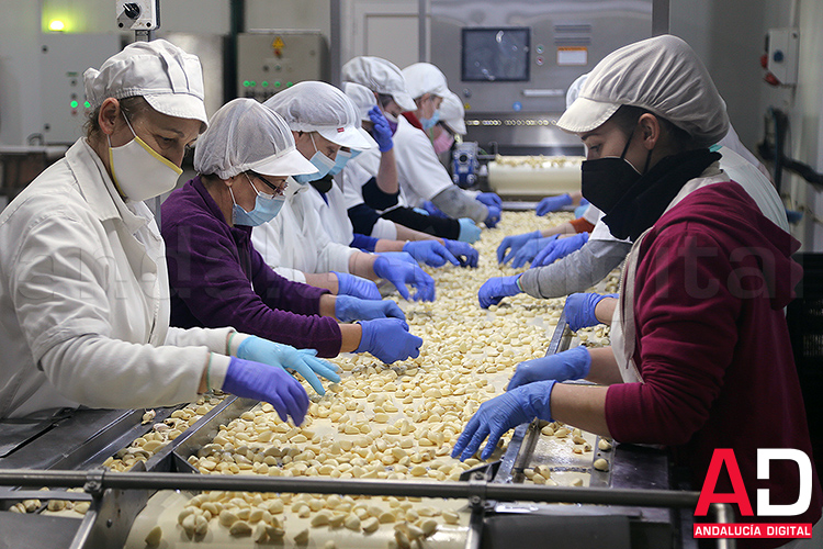 Puré de ajo congelado superior de China embalado en bolsos o cubos