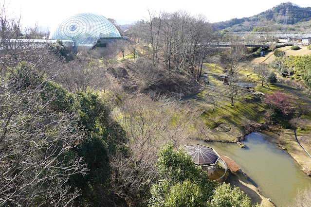 鳥取県西伯郡南部町鶴田 とっとり花回廊 花の谷