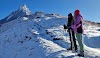 Why are trekkers frequently missing in Mardi Himal Trek?