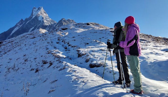 Why are trekkers frequently missing in Mardi Himal Trek?
