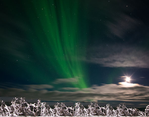 Wow, some passengers on the Viking Sky (not us) saw the northern lights (Source: Larry Lorimar)