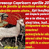 Horoscop Capricorn aprilie 2016