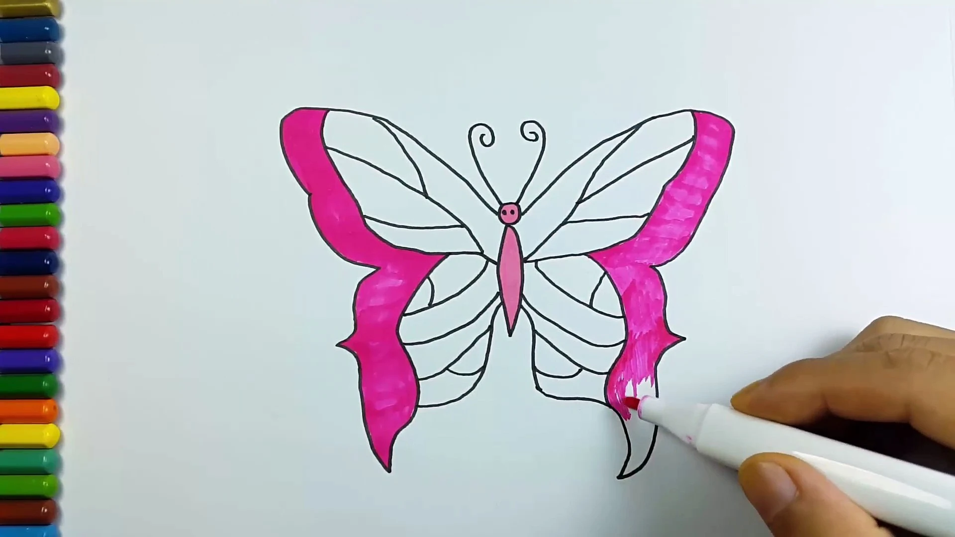 Butterfly picture drawing - Butterfly picture download - Butterfly picture drawing - Butterfly wallpaper - projapoti pic - NeotericIT.com