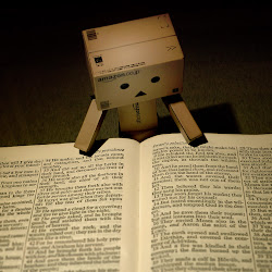 Gambar Danbo @ digaleri.com