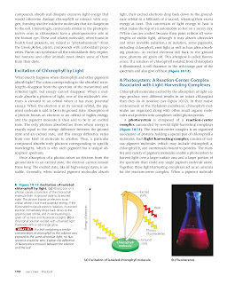 ক্যাম্পবেল বায়োলজি pdf download campbell biology bangla pdf download campbell biology pdf free download reddit campbell biology 10th edition pdf free download reddit campbell biology 10th edition test bank pdf download free campbell biology 12th edition pdf free download reddit campbell biology in focus 3rd edition pdf download campbell reece biology 8th edition pdf download ap biology campbell 8th edition pdf download