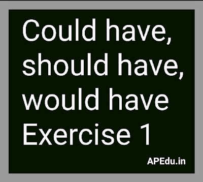 Could have, should have, would have Exercise 1