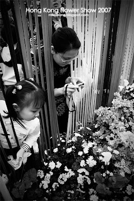 Flower Show, Hong Kong, 2007