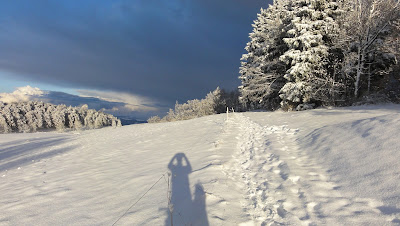 Weissenstein