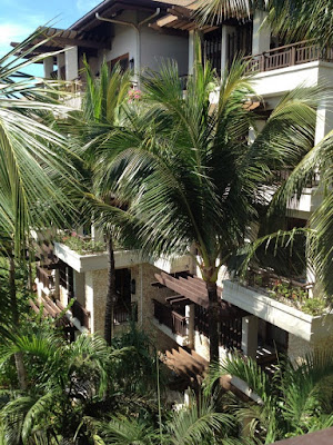 Towering Palm Trees Around Shangri-La Boracay