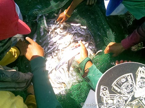 03132011(207)pi;ok-