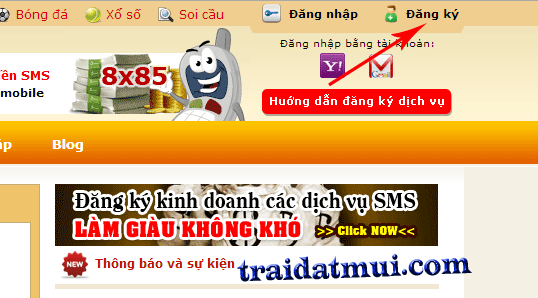 Đăng ký kinh doanh kiếm tiền bằng đầu số 8x85 cùng sms.vn