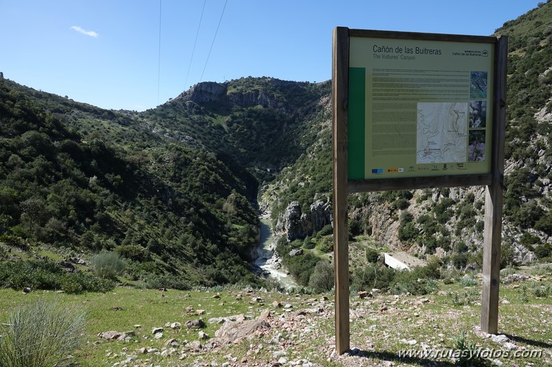 Estación de Cortes - Cañón de las Buitreras - Estación de Gaucín