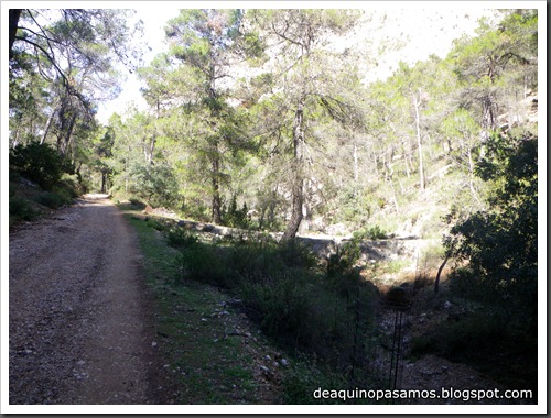 Via Carrillo - del Campo 160m 6b  (Pared Sur de Leiva, Sierra Espua, Murcia) (Isra) 2876