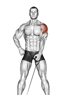 Cable Lateral Raise