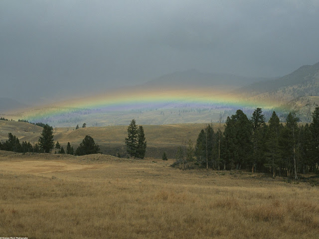 Lamar Valley Sunset Rainbow Yellowstone National Park