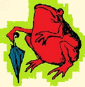 sapo