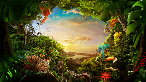 nature of brazil digital art