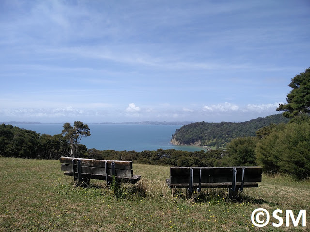 Photo vue  Wenderholm Regional Park Auckland Nouvelle-Zélande