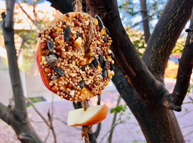 Apple homemade diy bird feeder