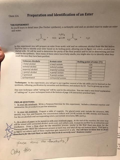 PREPARATION OF ESTERS LAB REPORT