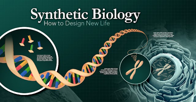 Unleashing the Power of Synthetic Biology: Revolutionizing Science with Synthetic Biology