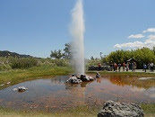 california geyser