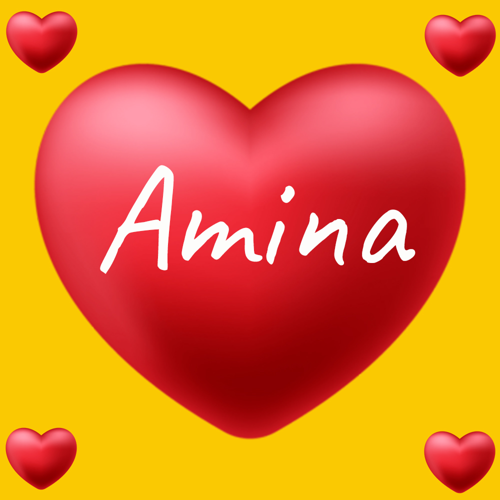 Amina name DP, Pics & Wallpaper HD