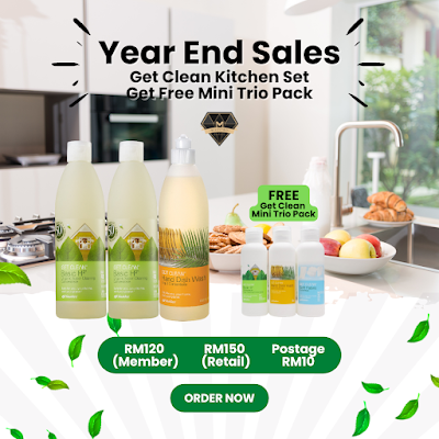 Shaklee YES (Year End Sales)