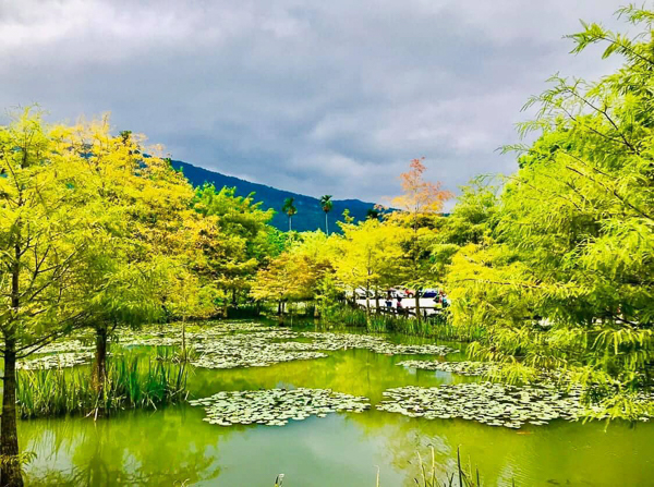 花蓮壽豐Mr. Sam山姆先生咖啡館歐式建築小屋就像童話世界