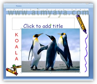 Bermacam gambar sering kita gunakan dalam presentasi Cara Mengganti Gambar Dengan Ukuran dan Posisi Yang Sama di Powerpoint
