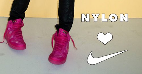 Nylon Nike Dunks