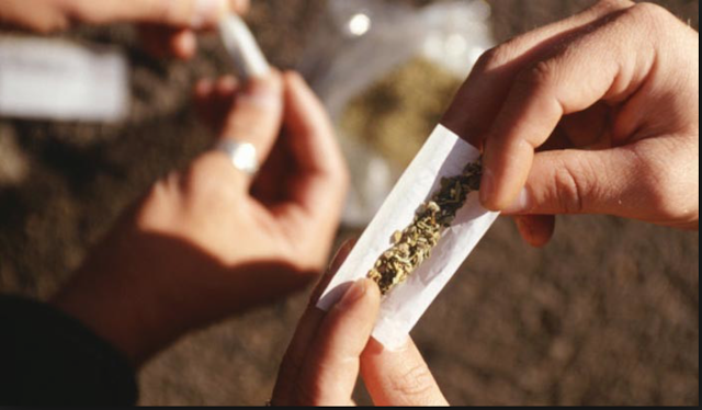 CASOS DE ESQUIZOFRENIA ENTRE ALGUNOS CONSUMIDORES DE CANNABIS SE TRIPLICA EN CANADÁ.