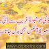 Gareeb Poetry In Urdu | Gareeb Quotes In Urdu SMS | Dr Poetry