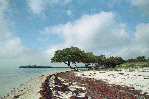 @ Key West