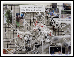 "Reggio Style" Documentation Approach in Early Childhood 