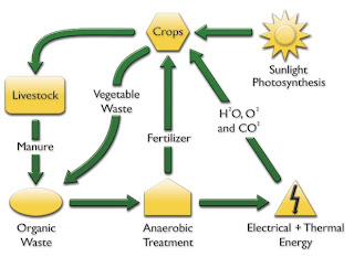 biogas