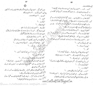 043-Billi Chekhti Hay, Imran Series By Ibne Safi (Urdu Novel)