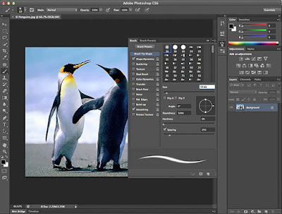 Adobe Photoshop 8.0 Free Download