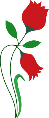 Red Flower, Red Tulip, Flower Vector, Flower PNG, Flower Ai