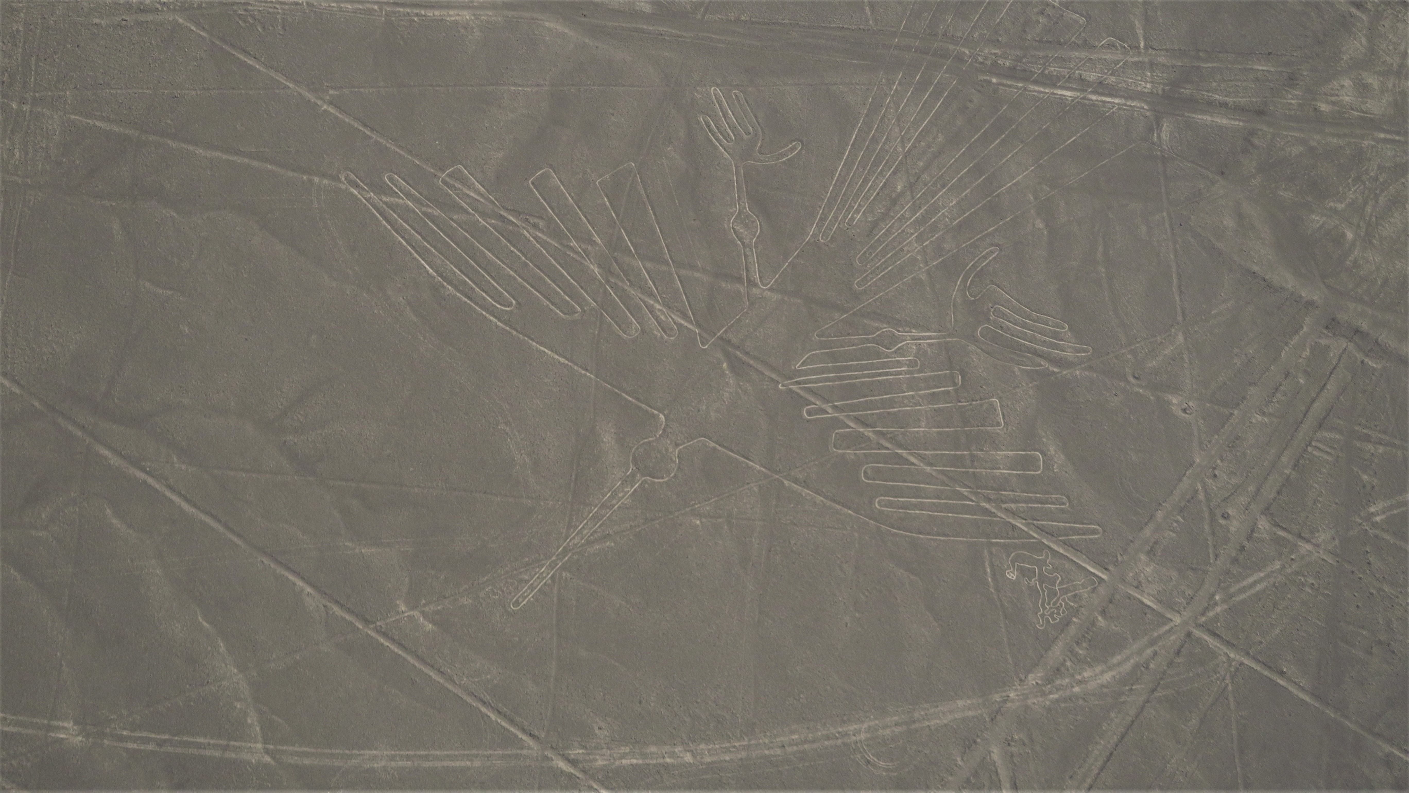 Nazca -linjat