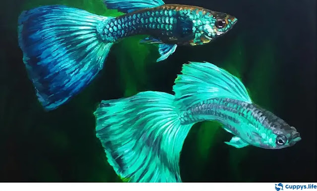Green Moscow Guppy